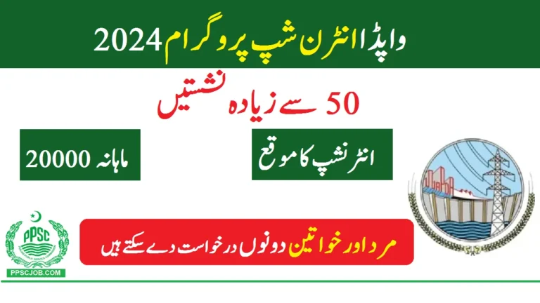 WAPDA 'Internship Program 2024