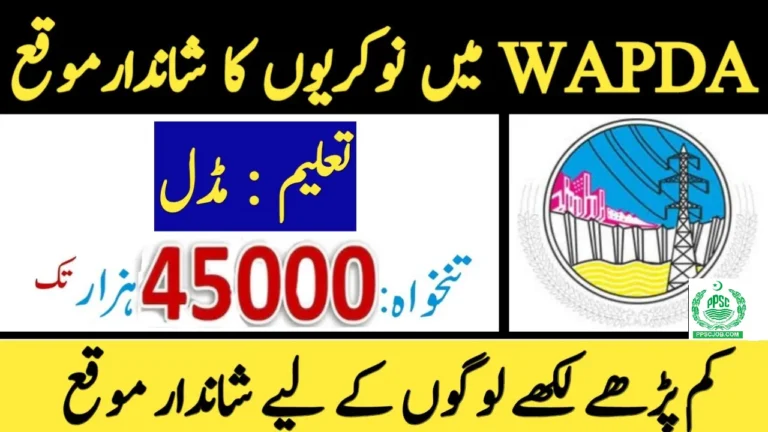 Wapda Jobs Opportunities in October 2024