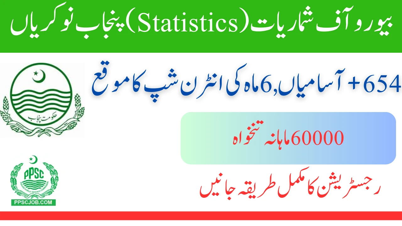 Bureau of Statistics Punjab Jobs